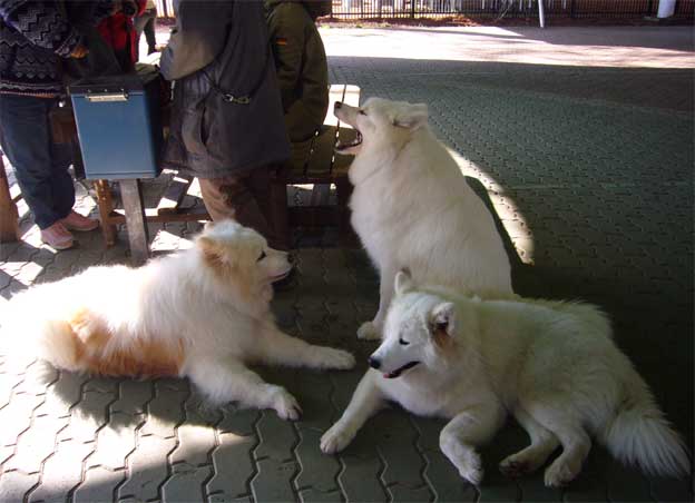 e0018604_18551497.jpg