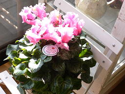 c0101913_17404262.jpg