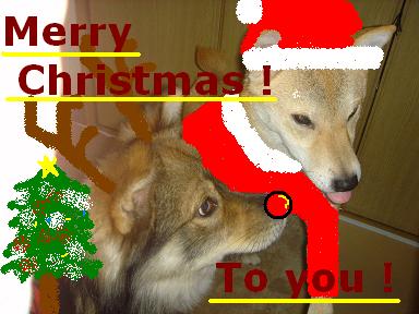 Happy Merry Christmas ! !_f0086814_20112168.jpg