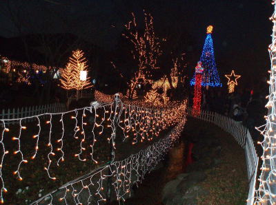 f0094843_132503.jpg