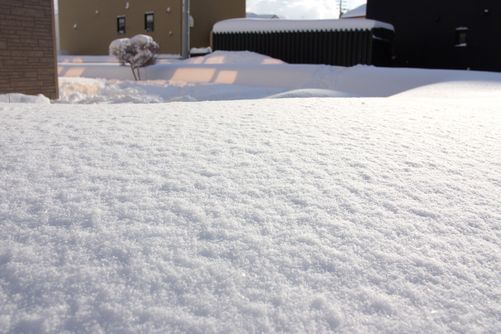 大雪が降ったんです_d0074844_2128475.jpg