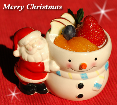 Happy　Christmas　☆_b0016049_19172233.jpg