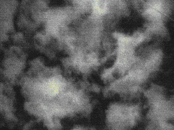目に見えぬもの_f0041351_6121784.gif