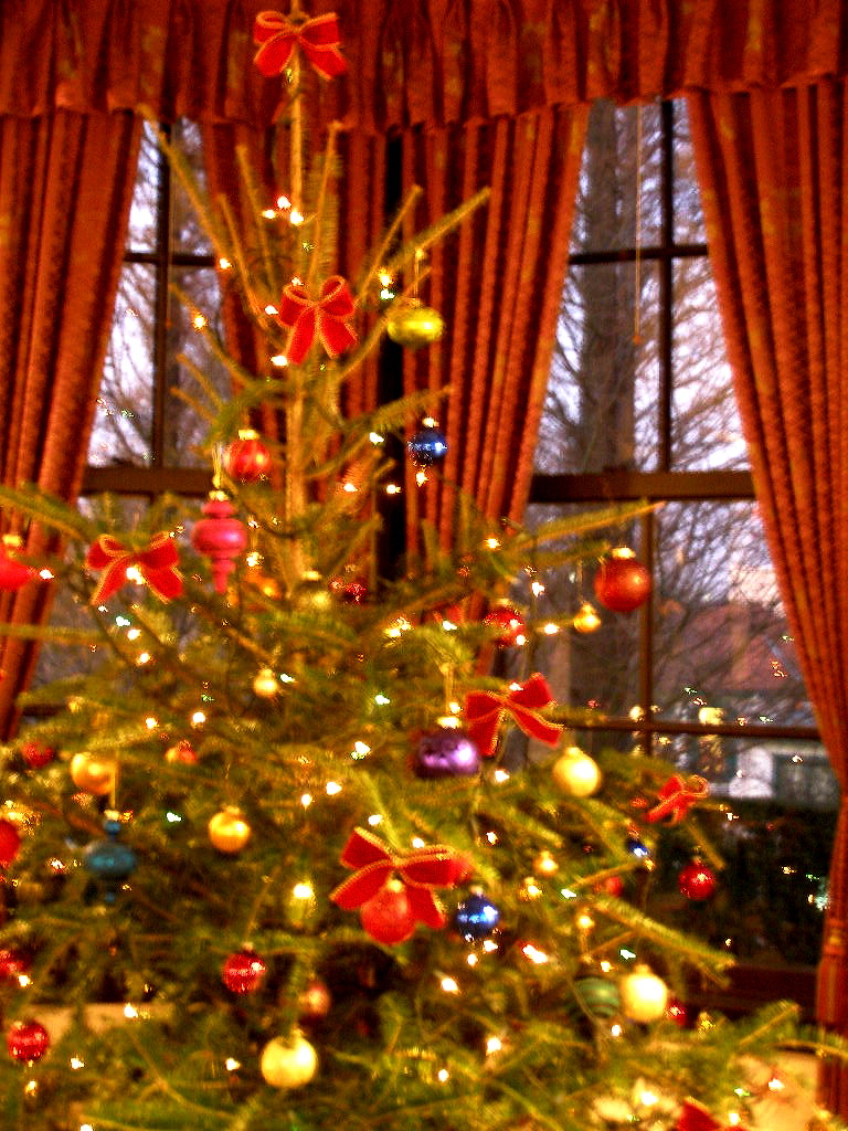 e0064158_05485.jpg