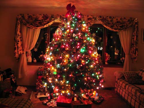 わたしからMerry Christmas♪♪♪_a0042564_22213451.jpg