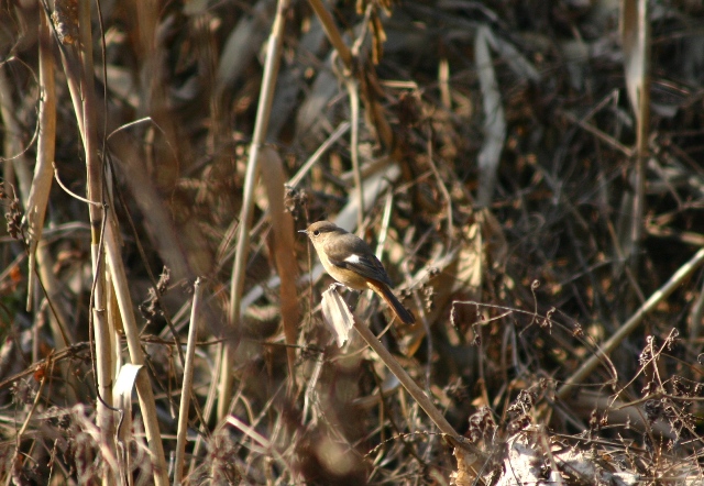 f0061869_2037094.jpg