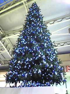 c0047972_11451413.jpg