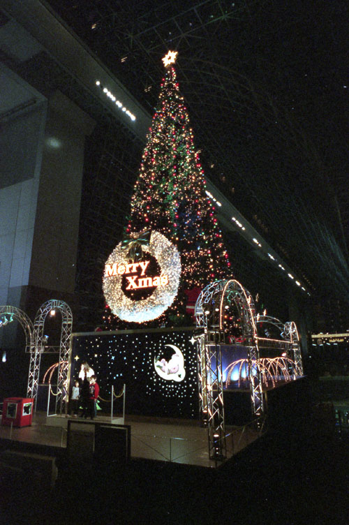 ☆Merry Christmas☆_b0081177_2318626.jpg