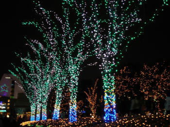 c0019880_23344231.jpg