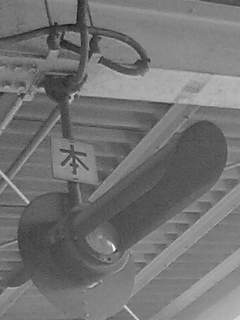 f0100480_636049.jpg