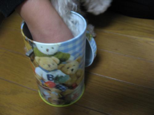 c0014282_21211237.jpg
