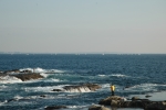 d0052904_20332762.jpg
