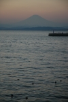 d0052904_20341940.jpg