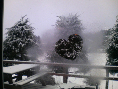 e0083204_22345694.jpg