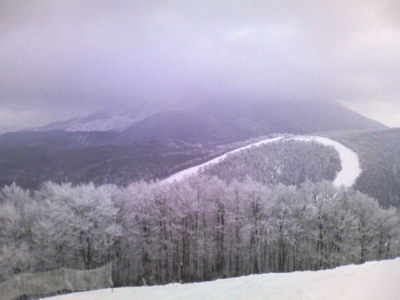 e0083204_22364876.jpg