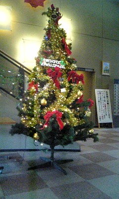 f0085810_174254.jpg