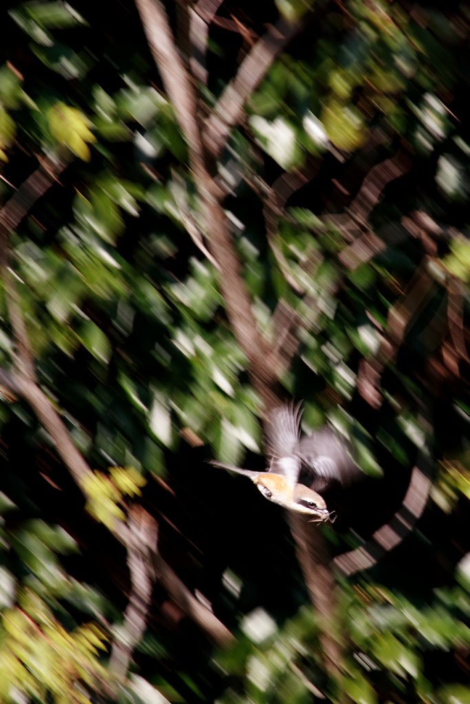 d0085715_02634.jpg