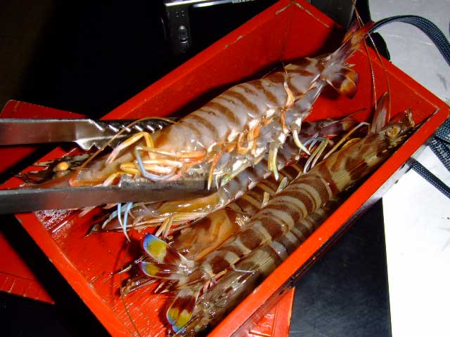 うどんすきの「海老」の話_b0054727_23163537.jpg