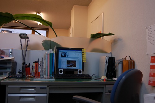 b0097729_15192745.jpg