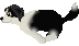 d0059230_1475585.gif