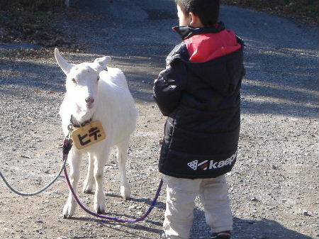 田貫湖へ行って来ました_f0082141_13403887.jpg