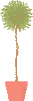 b0049549_23372198.gif