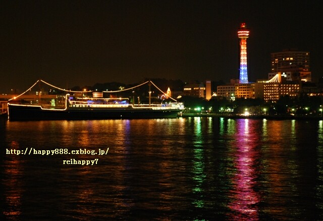 横浜のシンボルだったマリンタワーと氷川丸_d0019770_0242785.jpg