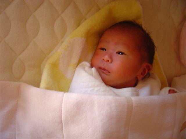 大忙しgekoばーちゃん_e0040673_16293295.jpg