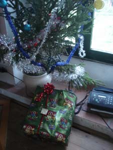 クリスマスの朝_f0106597_256980.jpg