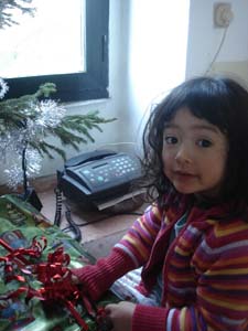 クリスマスの朝_f0106597_325667.jpg