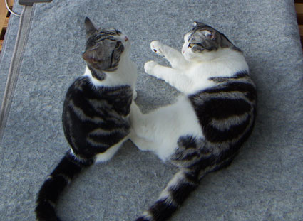 c0011300_18574941.jpg
