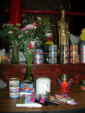 c0011501_1728145.jpg