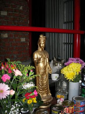 c0011501_1732551.jpg