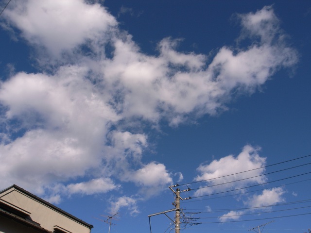 c0071611_1811895.jpg