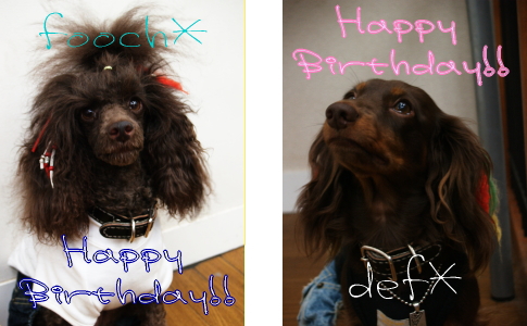 DEF＆FOOCH　happy　birthday♪_d0045212_07125.jpg