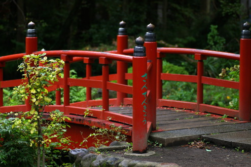 雨上がりの深大寺_b0053019_2201374.jpg