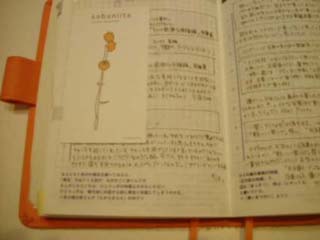 f0124733_14114331.jpg