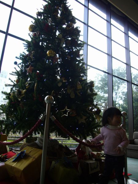 c0046361_1414756.jpg