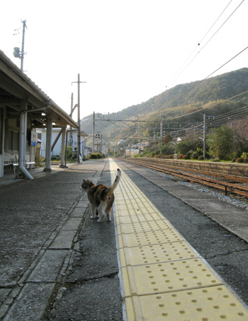富海駅 その1 でじ猫な日々