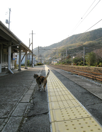 富海駅 その1 でじ猫な日々 富海駅 その1 でじ猫な日々
