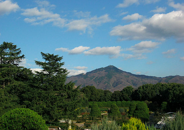 植物園お散歩写真（冬編）_c0036080_1847166.jpg