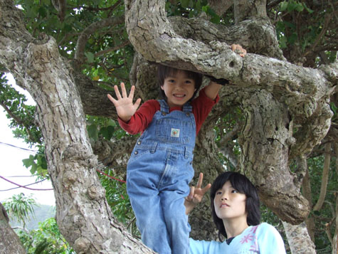 仲良しファミリー２家族_e0028387_05552.jpg