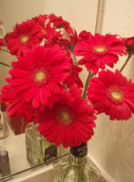 Flower_b0079097_6453577.jpg