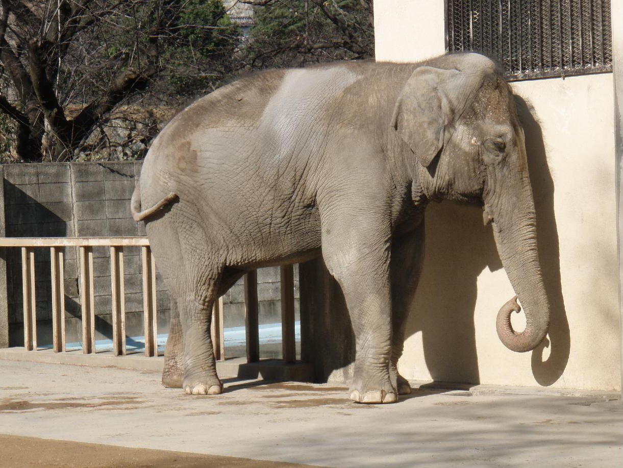 お城の見える動物園　　　小春日に姫子見ながらお昼する_d0051106_712077.jpg