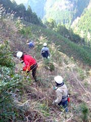 e0032609_09158.jpg