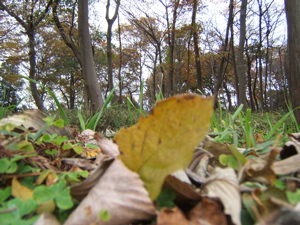 c0004024_11371738.jpg