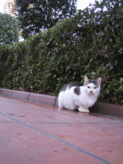 e0052926_10121894.gif