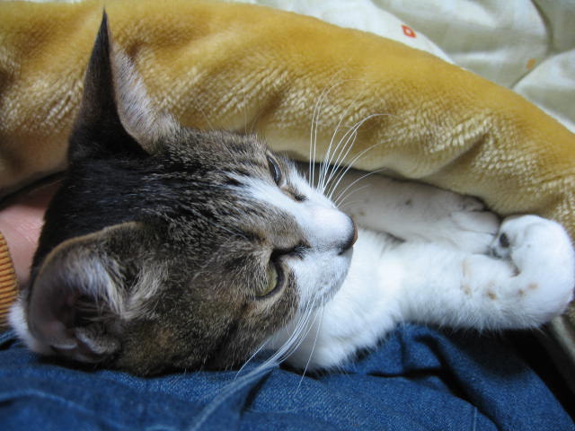 b0088037_12124323.jpg