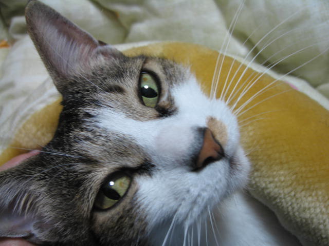 b0088037_1293147.jpg