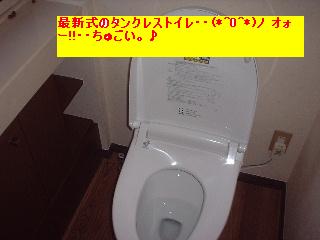 f0031037_2012441.jpg